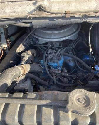 Ford Econoline cena 20000 przebieg: 43000, rok produkcji 1980 z Dobrzany małe 232